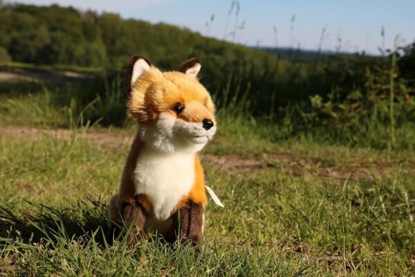 Peluche Foxy - Image 4