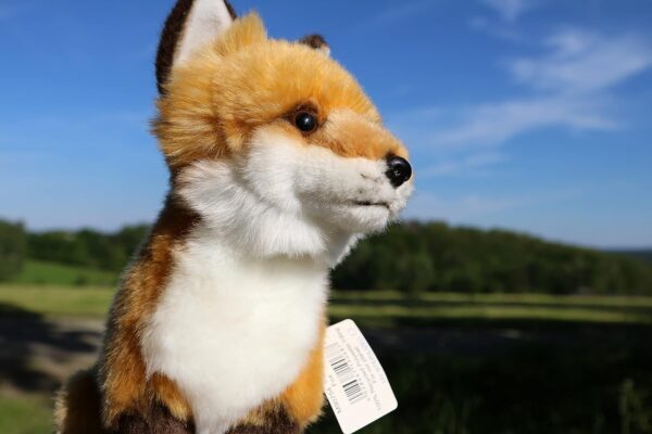 Peluche Foxy - Image 6